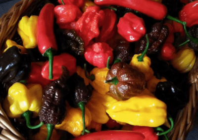 JK-s Hot Pepper Sauce